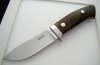 Kim Tran Loveless Skinner n690