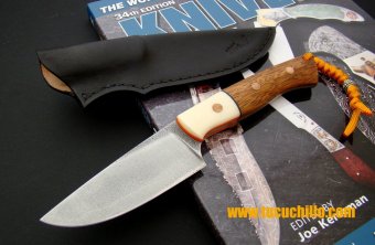 Mr. G Falco D2 combinado