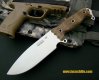 Busse Combat ASH1 LE