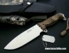 Busse Combat ASH1 Edicion Limitada